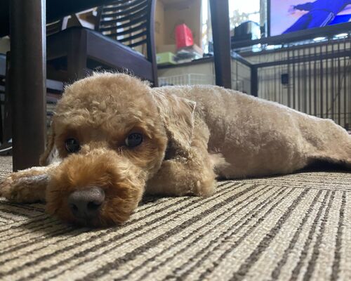 line_oa_chat_200727_090033