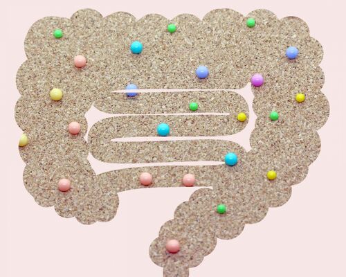 腸活ダイエット